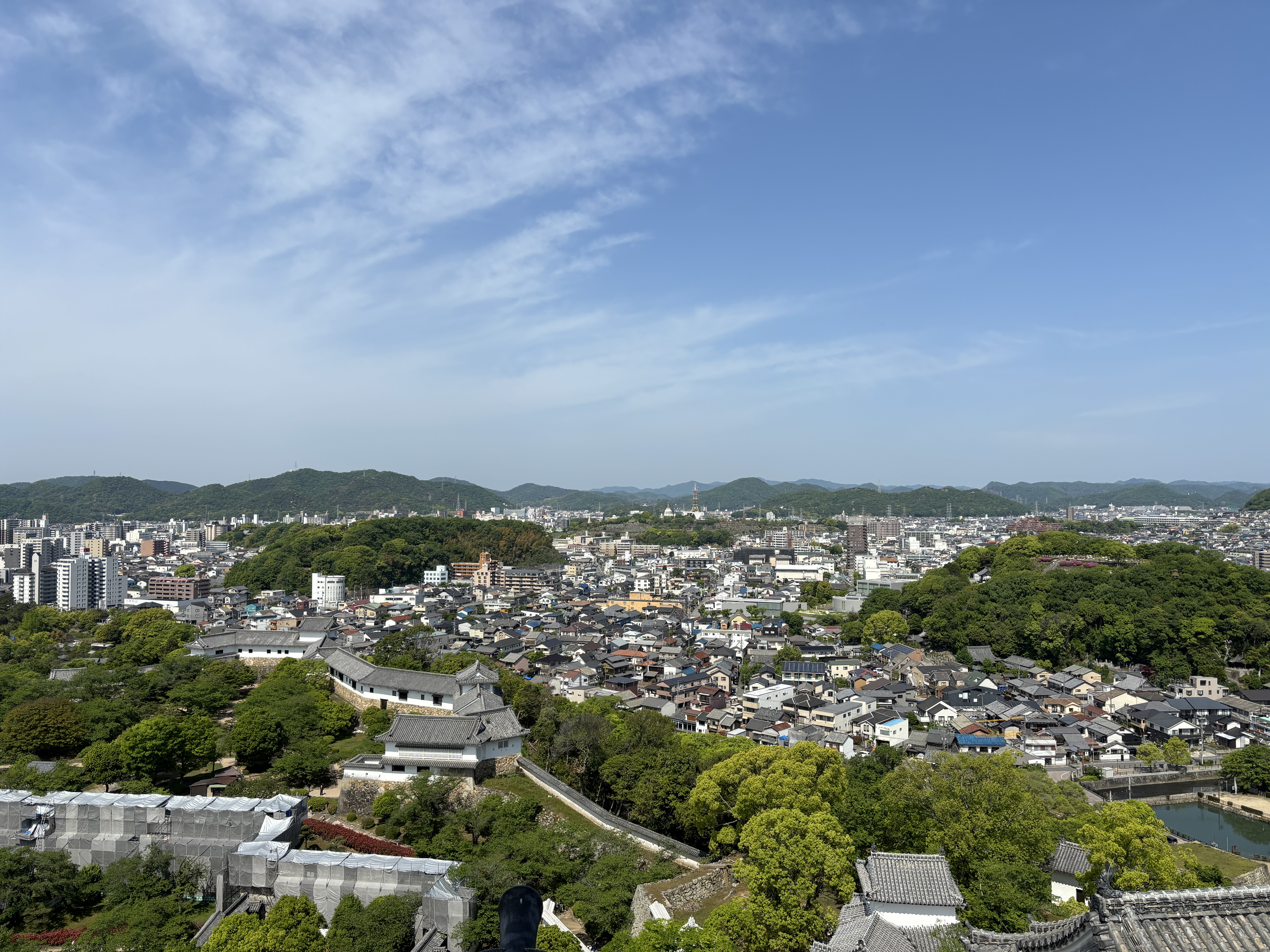 プロフ